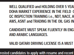 MARKETING EXECUTIVE