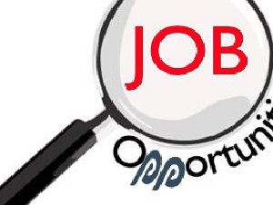 Civil Engineer - 