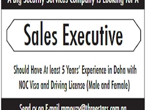 Sales Executive
