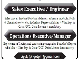 SALES EXECUTIVE/OPERATION EXECUTIVE