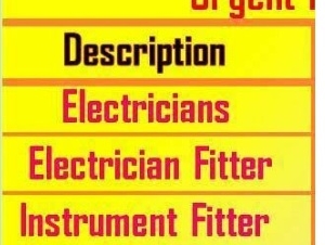 Electricians/Electrician Fitter/Instrument Fitter